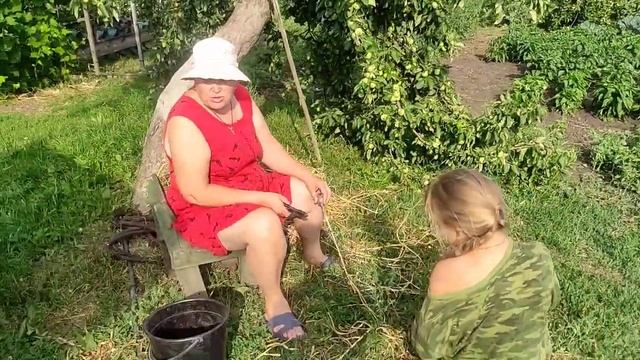 Копаем чеснок__арбуз__чем кормим птицу.mp4