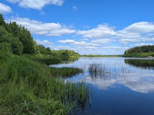 Природа Макарьевского района. Весна-Осень 2023