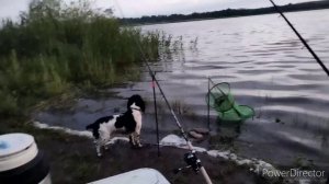 рыбалка на соколовском водохранилище