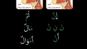 2 курс. 13 урок. Махрадж полости носа, г1унна