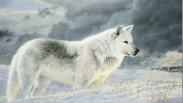 Lobos - Mas que Palabras смотреть онлайн