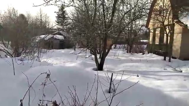 вот дача 8 марта