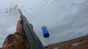 Охота на гуся/ Закрытие весенней охоты/выезд/ДЕНЬ ПОБЕДЫ/ 10 дней в болоте.