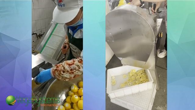 Нарезка фруктов, цитрусовых на слайс (фруктовые чипсы) 2-5мм - Vega Belt Cutter H20 | Обзор профи смотреть онлайн