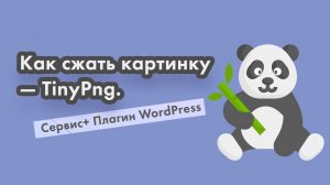 Как сжать картинку для сайта — TinyPng, онлайн сервис и плагин WordPress