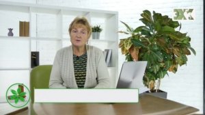 ДЕКОРАТИВНЫЙ ОГОРОД - ЛУЧШИЕ СОВЕТЫ