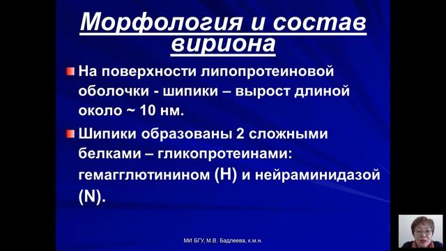 Возбудители бактериальных и вирусных инфекций (Бадлеева М.В.) - 7 лекция (2017)