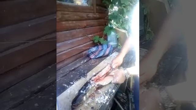 600585079512 Жизнь летом на даче. смотреть онлайн