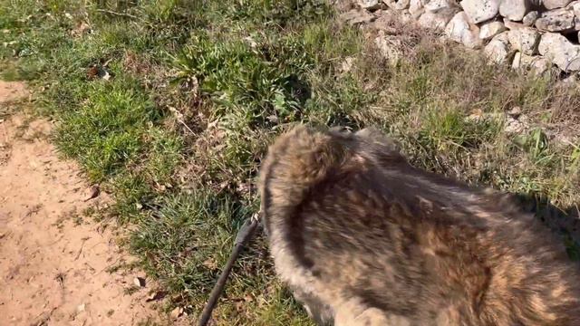 🌍Экономный 2024🌍ДЕНЬ #54/366🌍#планирование #цели #экономлю #живуна #финансы смотреть онлайн