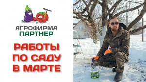 Работы по саду в марте