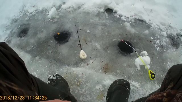 Зимняя рыбалка!!! База Пудыши водоем Яуза. В поисках активного подлеща!