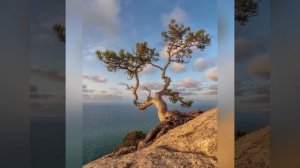 Поверь в себя ?Медитация на обретение опоры и раскрытие внутренней силы?