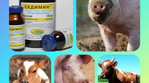 Препорат Седимин!Для чего он используется?