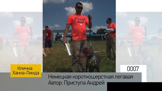 Фотоальбом - Собаки №002 смотреть онлайн