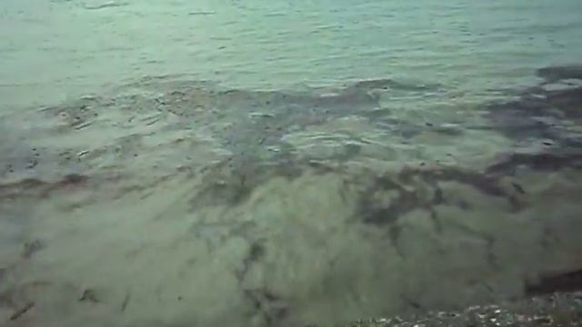 Море после шторма Туапсинский район 15.09.2018 смотреть онлайн