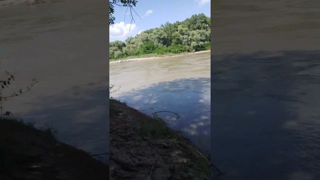 Кубань,начало июля 23 г смотреть онлайн