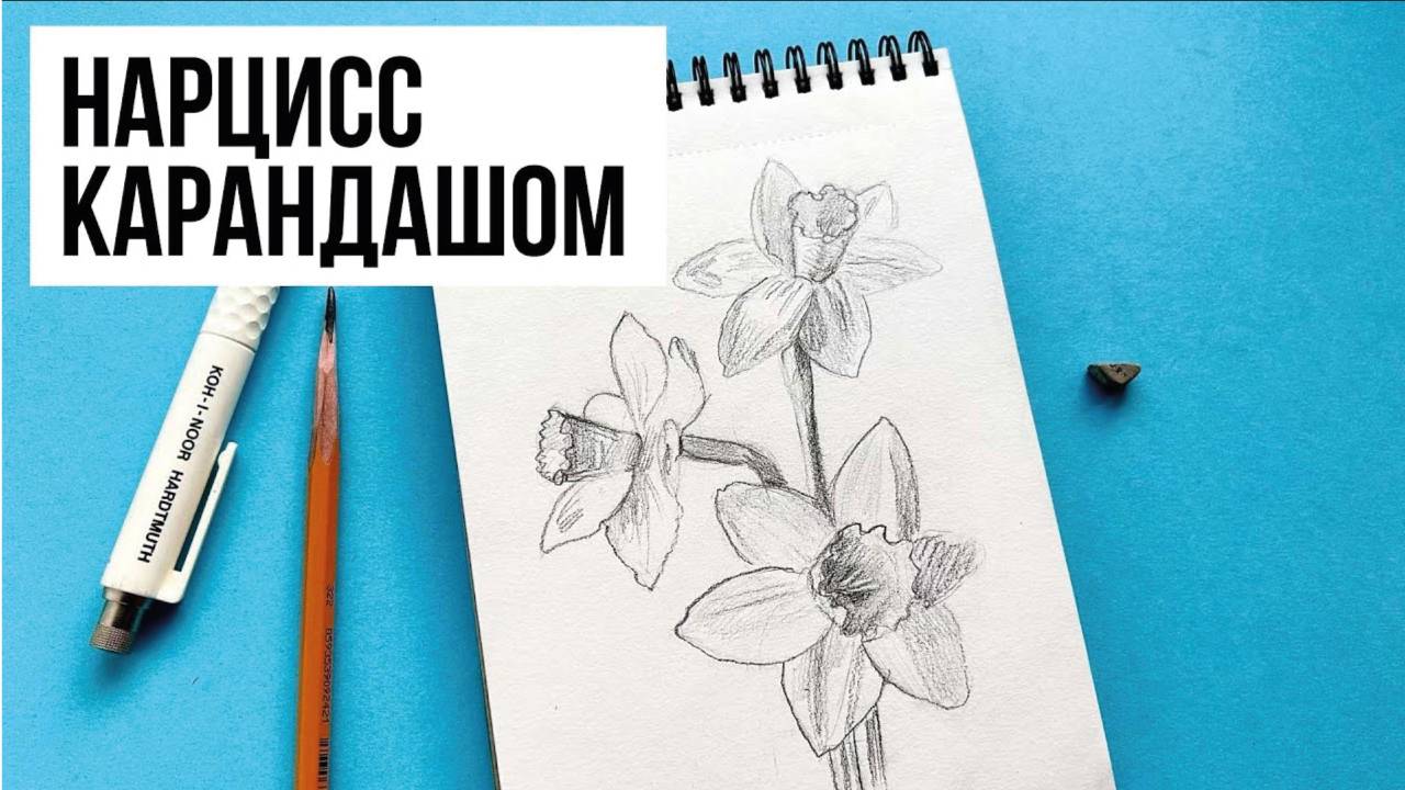КАК НАРИСОВАТЬ НАРЦИСС ПРОСТЫМ КАРАНДАШОМ. Рисунок для начинающих