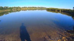 Ловля карася на пуфики и опарыша. Такие размеры карася сводят с ума. Рыбалка 26.07.2019