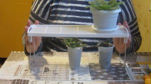 ФИКС ПРАЙС. Октябрь - 2020 г. Мои покупочки и не удавшийся обзор магазина.