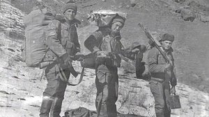 ДШМГ погранвойск