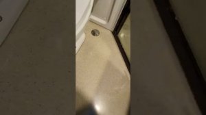 как быстро сделать туалет и душевую в срубе