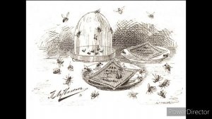 Д.Мамин-Сибиряк Сказка о том, как жила-была последняя муха.mp4