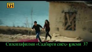 Садбарги Сиёх киисми 37 (ролик)