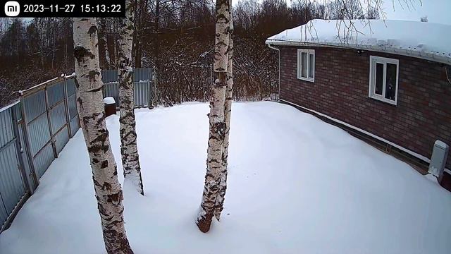 тайная жизнь диких животных - 2. ноябрь. 2023 смотреть онлайн