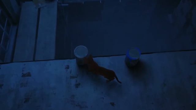 ЛЮБОВЬ ПРИНОСИТ БОЛЬ? здоровые отношения смотреть онлайн