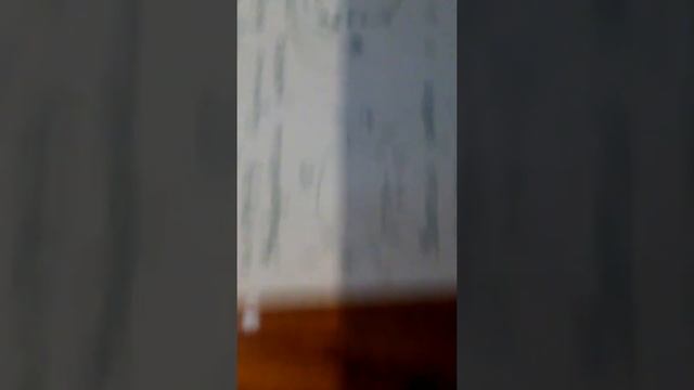 Детская кофточка реглан,спицами.МК.