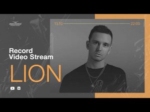 Record Video Stream | LION