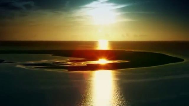 Фризская порода и красивая девушка смотреть онлайн