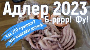 Адлер 2023. Варенье, специи и гады... Серия 16.