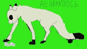 Коты воители: роды