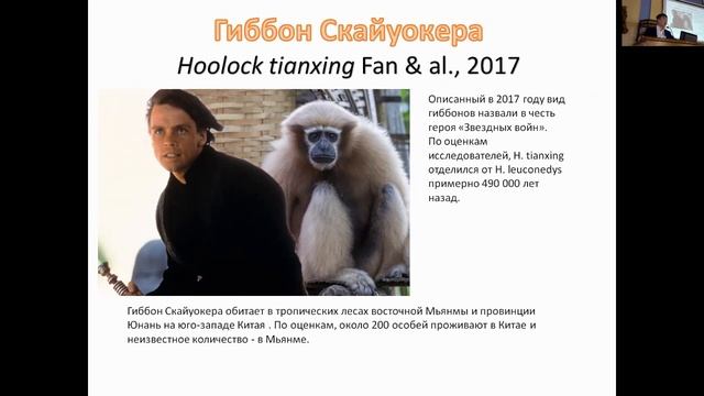 к.б.н. Моролдоев Игорь «Как в XXI веке описываются новые для науки виды млекопитающих» смотреть онлайн