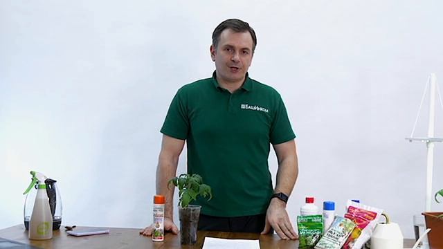 Школа ОЖЗ. Почему не растёт рассада? Питание, температура, свет, болезни. Биометод от сорняков