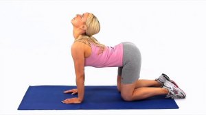 Спинной мозг (скольжение)