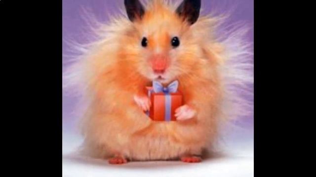 Шуточные поздравления днем рождения сватью Ссылка под роликом смотреть онлайн