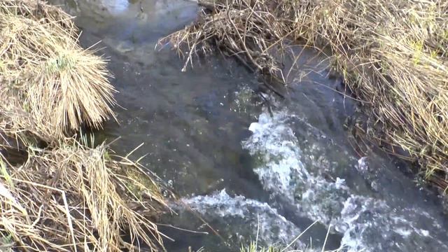 Весенний горный ручей смотреть онлайн