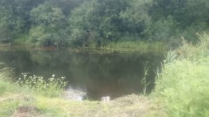 Деревня Тряпы, Псковская обл., река Исса (2)