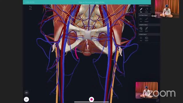 Интенсив по Тазовой диафрагме: День 3 смотреть онлайн
