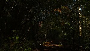 Грустная музыка из Тик Тока без слов для фона. Фоновая музыка для Стихов Цитат