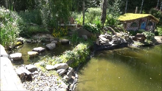 Идем в гости. Сказочный сад Игоря Дикмана. смотреть онлайн