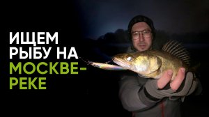 Поиск рыбы на Москве-реке. Ловля на спиннинг зимой