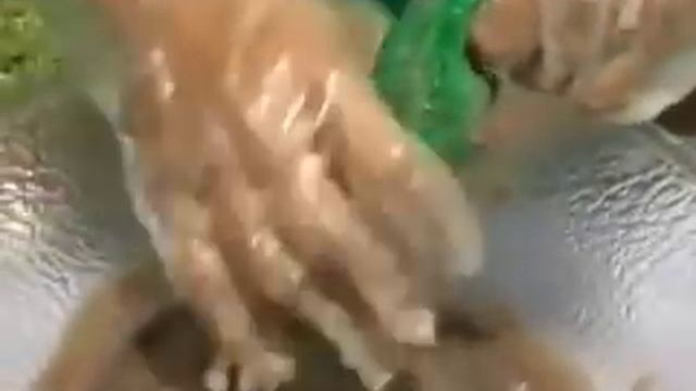 Noni, Нони фрукт