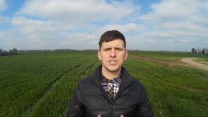 Описание и инструкция по применению инсектицида фуфанон.