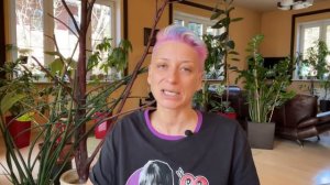 Вопрос-ответ №75 от 21.04.22 | Почему чернеют кончики листьев у фикуса Лираты