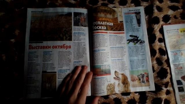 Обзор журналов .