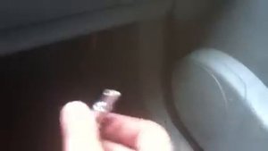 Рено сценик 1