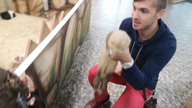 👸 Анна и папа и контактный зоопарк - Очень смешные животные